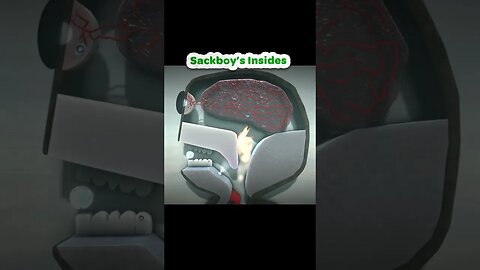 Sackboy’s Insides Brain #playstation #littlebigplanet #sackboy