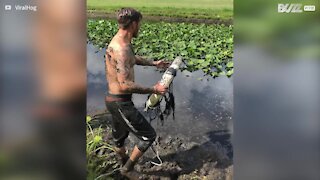 Homem mergulha na lama para salvar um pássaro preso