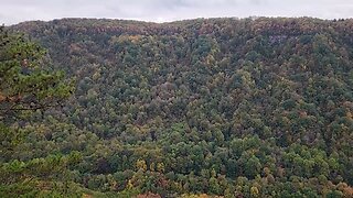 New River Gorge National Park | Endless Wall Trail