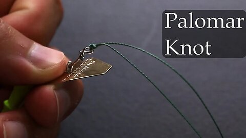 How to tie a fishing knot: Palomar knot