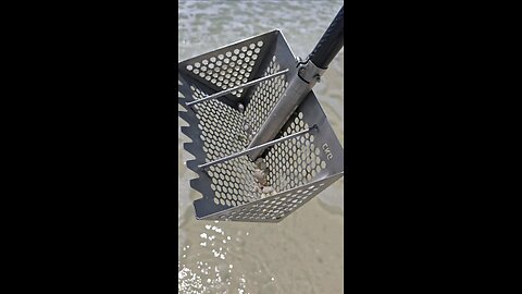 Sandflea rake from CKG sand scoops