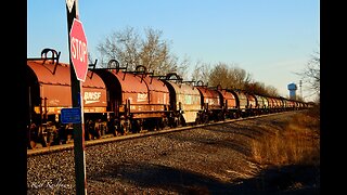 Steel Coil Train Pulled out of Storage, Canadian National, Norfolk Southern and more - Hinckley Sub