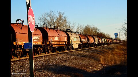Steel Coil Train Pulled out of Storage, Canadian National, Norfolk Southern and more - Hinckley Sub