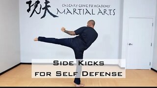 Side Kicks for Self Defense