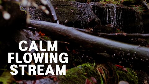 Calm running stream | Great background sound for sleep and relaxation