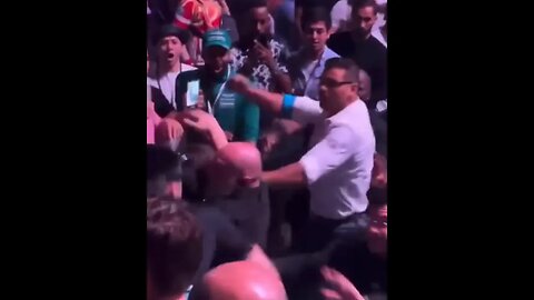 Paulo Costa crowd brawl at UFC 294