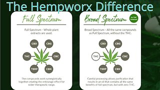 Do you know your Hemp? How about your endocannabinoid system?