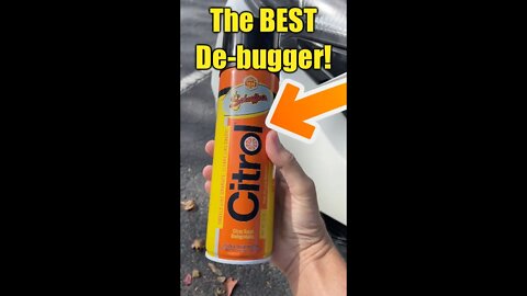 Citrol🍊 The 𝗕𝗘𝗦𝗧 Way to Get Dead Bugs Off Your Car!