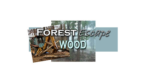 Forest Escape Getting Seasoned Wood and Storm Damage Wood to Burn