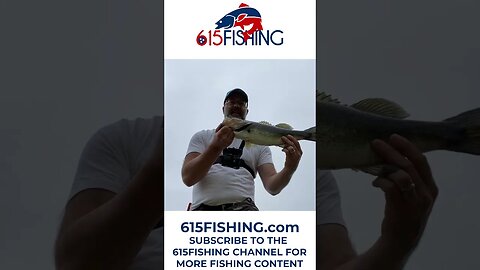Largemouth Bass Catch in a Florida Golf Pond