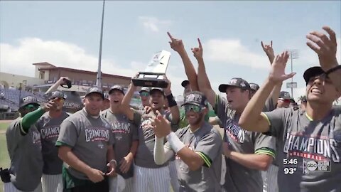 USF baseball opens NCAA regional play against Florida