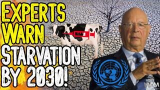 Huge! Experts Warn Starvation by 2030! - Panic Buying & Poison Food Incoming!