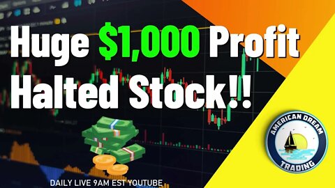 Crazy Halted Stock $1,000 Profit Stock Market