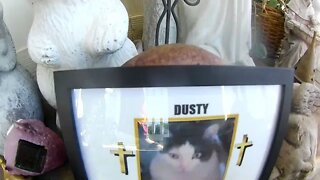 Our Beloved Dusty's 21Year Memorial - 10/05/22