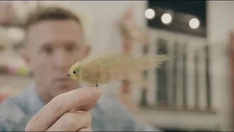 DLP Minnow Fly Tying Video - 239Flies