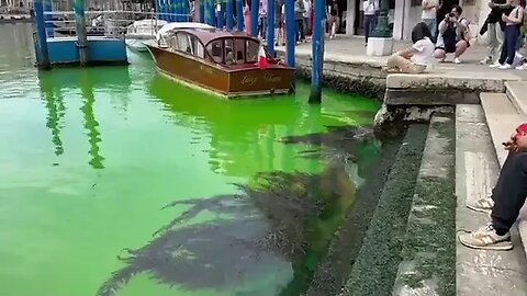 Água do Grande Canal de Veneza fica verde brilhante