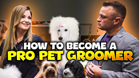 How to Make Money as a Successful Dog Groomer