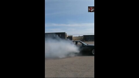 1988 Monte Carlo SS Facts 🔥w/burnout🔥 #shorts #interestingfacts #cars #classic