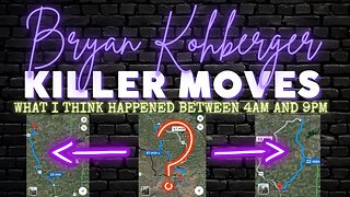 BRYAN KOHBERGER MADE SOME INTERESTING MOVES | MY THEORY | INTENTIONAL "MISTAKES" | OPINION ONLY!