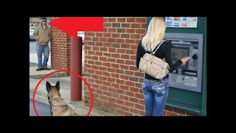 Dogs Protecting Their Owners! - Dogs that are better than guns! [ Dog Training ]