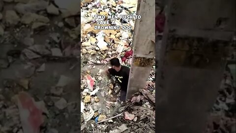 Two men save dog 🐶 from drowning in trash and filthy water in India 🇮🇳