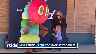 New plaza and gibbon exhibit opens for Zoo Boise's Zoo Daze event