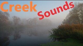 Stunning Relaxing Autumn Dawn Creek River Stream Morning Fog with Nature Sounds, Frog & Bird Sounds