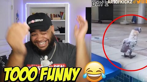 Try Not to Laugh challenge…. I Bet You Can't Do It