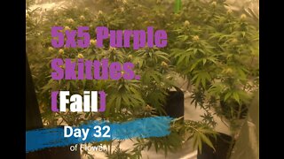 5x5 Seed to Harvest Indoor Cannabis Grow (fail)