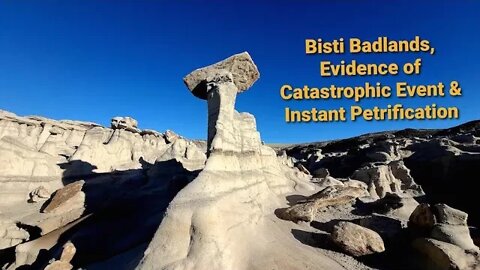 Evidence of Catastrophic Event & Instant Petrification, Bisti-Badlands NM, On Scene