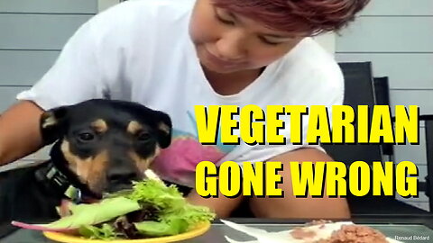 VEGETARIAN DOG GONE WRONG