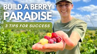 How To CREATE A Berry PARADISE | 3 Tips For SUCCESS