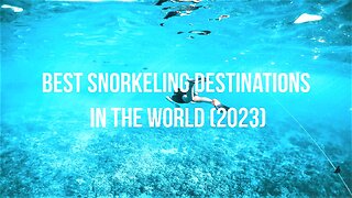 Best Snorkeling Destinations in the World (2023)