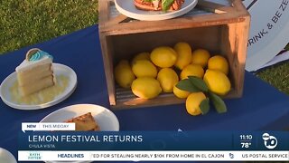 Annual Chula Vista Lemon Festival