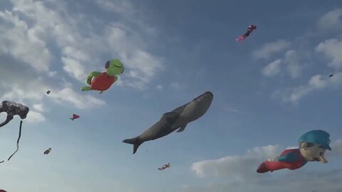 Kite Festival Flying Colorful Kites in The Sky International Competition Whale Animal Shape