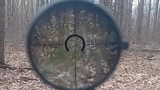 22 cal at 200 yds with Primary Arms PLX 1-8 M8 raptor