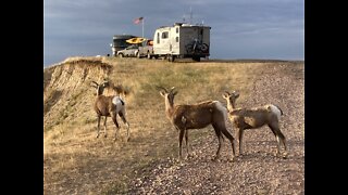 Boondocking at Nomad View South Dakota