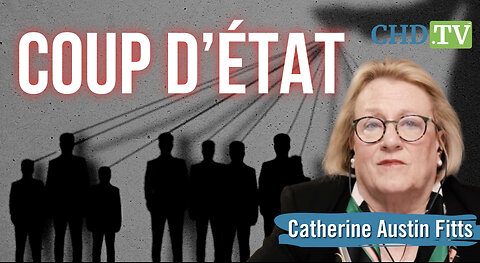 Catherine Austin Fitts: “We’re Staring Down the Barrel of a Coup D’état”