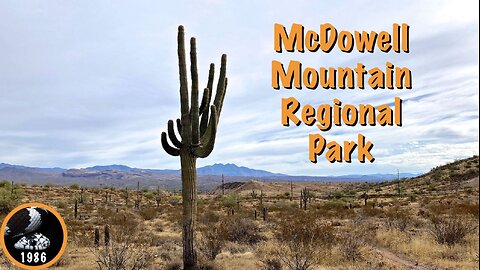 Hiking McDowell Mountain Regional Park