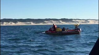 Humpback whale disentangled at Kowie River Mouth (5bP)