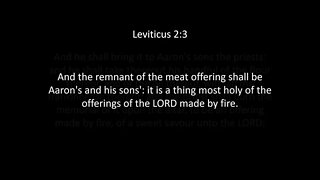 Leviticus Chapter 2