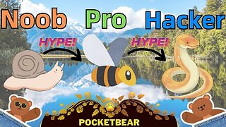 NOOB vs PRO vs HACKER - Animal Transform | @PocketBear470