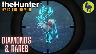 Diamond & Rare Montage #6 | theHunter: Call of the Wild (PS5 4K 60FPS)