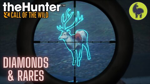 Diamond & Rare Montage #6 | theHunter: Call of the Wild (PS5 4K 60FPS)