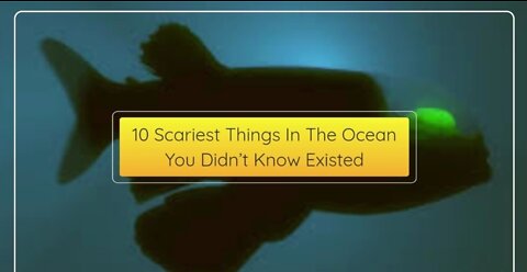 10 scariest things in the ocean you didn't know existed