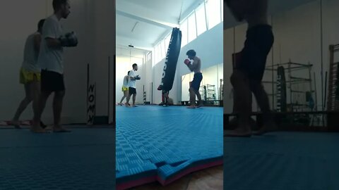 Kick, Punch, Elbow And Knee The Bag (6)