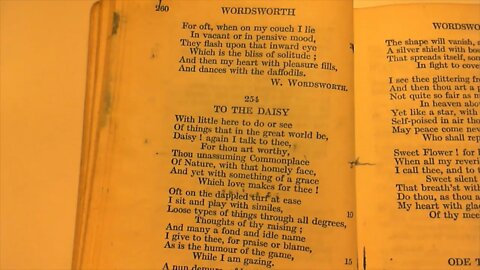 To The Daisy - W. Wordsworth