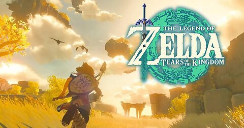 Legend of Zelda Tears of the Kingdom Adventures