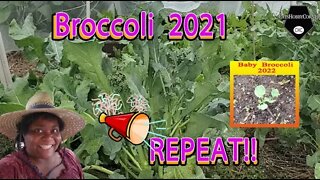 Let's Repeat 2021 Broccoli in 2022 - 18May2022
