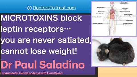 DR PAUL SALADINO 4 | MICROTOXINS block leptin receptors…you are never satiated, cannot lose weight!